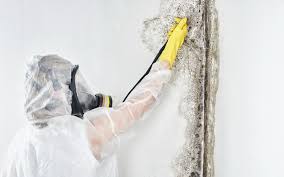 Best Dehumidification Services  in Sewell, NJ